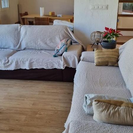 Vila Agradable Casa Con Piscina Privada Y Jardin Denia Exteriér fotografie