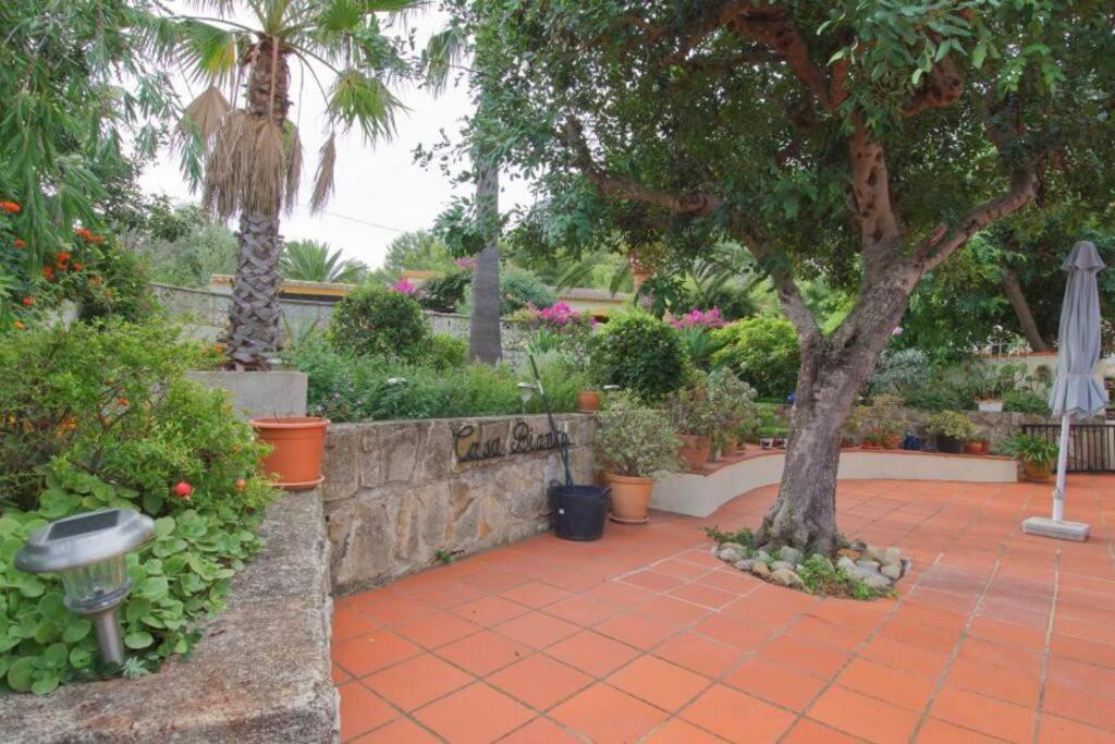 Vila Agradable Casa Con Piscina Privada Y Jardin Denia Exteriér fotografie